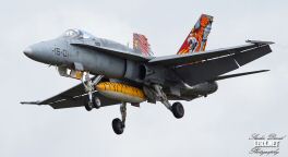 FA-18 Espagnol 0005  LERX NET.jpg